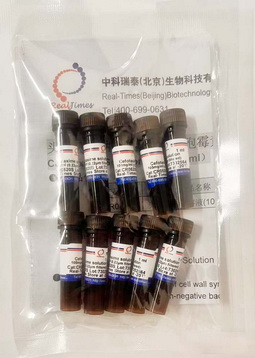 頭孢噻肟鈉/頭孢黴素/噻孢黴素溶液(100mg/ml)