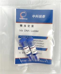 1kb DNA ladder（1000-10000bp）試用裝