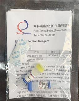 Zeocin 博來黴素